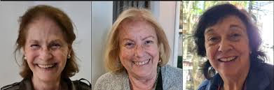 DINOS y DINAS de la Informática en la Argentina : 2022