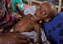 We did not find results for: The Dirty Reason Why Starving Children Are The Face Of Africa In The Media By The Pan African Alliance Medium