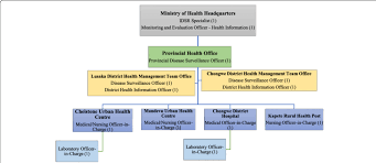 Flow Chart Of Sampled Health Workers And Their Positions In