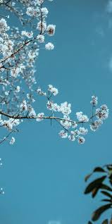 Light blue aesthetic blue aesthetic pastel aesthetic colors aesthetic collage aesthetic clothes pop punk bora lim the blue boy francoise gilot. 58 Blue Aesthetic Ideas Blue Aesthetic Light Blue Aesthetic Blue Aesthetic Pastel