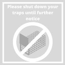 Anchorage ak zum kleinen preis hier bestellen. Anchorage Animal Care And Control Home Facebook