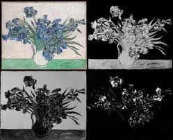 Check spelling or type a new query. Van Gogh S Irises And Roses The Contribution Of Chemical Analyses And Imaging To The Assessment Of Color Changes In The Red Lake Pigments Heritage Science Full Text