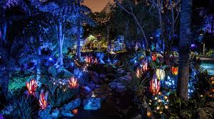 Valley Of Mo Ara Pandora The World Of Avatar Disney S Animal Kingdom Avatar Land Disney Animal Kingdom Disney Avatar Land