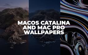 Download Macos Catalina And Mac Pro Xdr Wallpapers