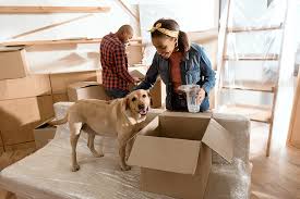 To receive our pet air pet shipping specials. How To Transport A Dog In A Car 8 Must Follow Tips Moving Com