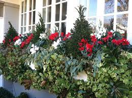 Flowers are usually the central feature of the window box for most gardeners, and if your home's façade is sunny, you can have a large range of blooming. Fill Your Window Boxes With Evergreen Topiaries Cyclamen And Seeded Eucalyptus For A Look That Will Window Box Flowers Winter Window Boxes Fall Window Boxes