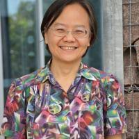 Chief Investigators 2019