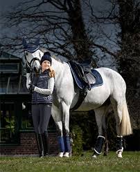 Showmaster Moonlight Pferd Pferdemode Reitbekleidung
