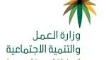 «العمل»: ضبط وافدين في جدة