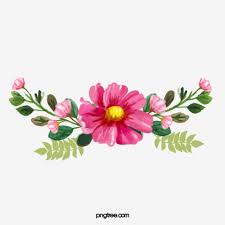 Chinese Red Flowers Vector China Element Flowers Png Transparent Clipart Image And Psd File For Free Download In 2020 Watercolor Flower Background Flower Painting Free Watercolor Flowers