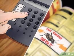 For those wondering how to get rid of crickets, be warned — it's no easy task, especially because they go silent when they feel threatened. 3 Ways To Kill A Cricket That S Loose In Your House Wikihow