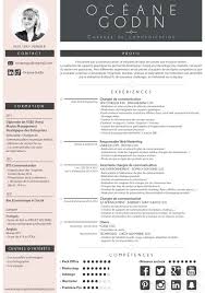 Curriculum Vitae Modele De Cv Creatif Modele Cv Gratuit Et Modele Cv