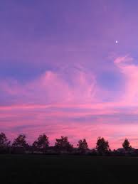 A photo of a tree in front of a sunset. Fence Of Love Jikook Sunset Sky Lilac Sky Sky Aesthetic