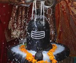 Kedarnath Rudrabhishek Yatradham Helps to attain overall happiness. kedarnath rudrabhishek yatradham