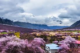 Image result for ¿—