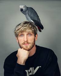 Logan Paul On Instagram Meet My New Partner In Crime Sirthegrey He S An African Grey Parrot With The I In 2020 Logan Paul Logan Paul Snapchat African Grey Parrot