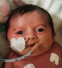 The Bella Hope Collie Fund