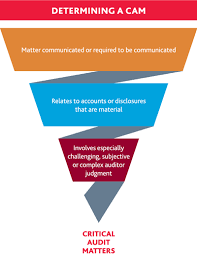 I need to know if there is translation for financial reporting oversight role in spanish. Global Risk And Regulation The Role Of The Pcaob Business Accounting