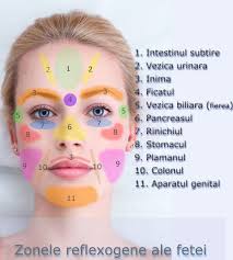 Kursy Massazha Guasha Lica V Minske Kursy Massazha V Minske Kinezio