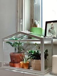 Ikea just announced a new indoor gardening line, created with expert agricultural scientists, called the krydda/växer series. Got The Ikea Small Greenhouse And It S Actually Keeping The Humidity Quite High Inside There Indoorgarden