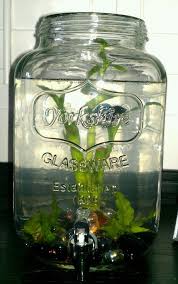 Water Dispenser Betta Tank Betta Tank Diy Fish Tank Betta Fish