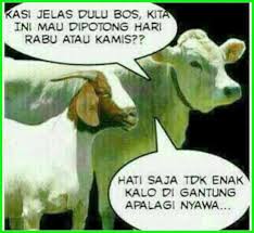 Posts about gambar lucu written by arifuddin bahar. Karim Padu Karimpadu Profil Pinterest