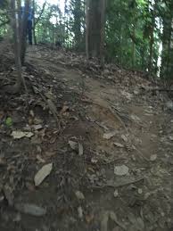 Eco flora, shah alam, selangor, malaysia — location on the map, phone, opening hours, reviews. Flora And Fauna Photo De Taman Botani Negara Shah Alam Tripadvisor