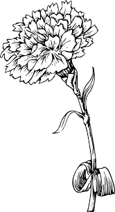 Carnation Flower Clipart 2 Carnation Flower Tattoo Birth Flower Tattoos Flower Drawing
