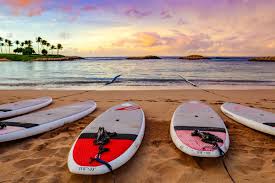 Sofia the first season 4 songs. Disney Aulani Resort A Disney Resort Hawaii Made In Its Own Image