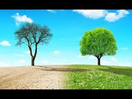 Den ersten bergmolch entdeckte ich unter einem stein im garten,seit teiche angelegt sind suchen diese molche im frühjahr das wasser auf. Gartenbewasserung Bei Trockenheit Klimawandel Im Garten Online Magazin Fur Frauen Ab 30 Women30plus Work Life Balance