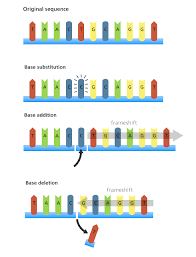 133 Genetic Mutations Biology Notes For A Level Biology Notes Genetics Genetic Mutation