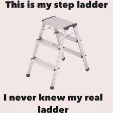 My Step Ladder Step Stool Step Ladders Ladder