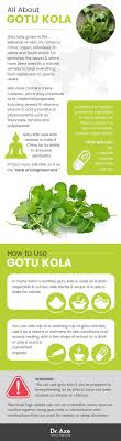 Gotu Kola May Help Boost Your Memory Mood Other Benefits Dr Axe Herbalism Natural Remedies Gotu Kola