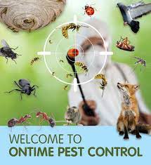 Cost for the pest removal in east london may depend on the factors like time taken to remove the pest, the number of professionals in east london, pest exterminators offers affordable pest control services. On Time Pest Control Pest Control West London South West London Twickenham Kingston And Richmond