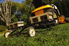 But removing the thatch will allow new seed to grow, and allow water and fertilizer to reach the existing root system to create a healthy lawn. Dethatching When And How To Dethatch Your Lawn