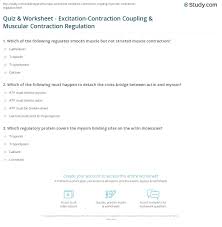 Can be used in conjunction with the muscle contraction word search, crossword, and quiz/worksheet. Quiz Worksheet Excitation Contraction Coupling Muscular Contraction Regulation Study Com