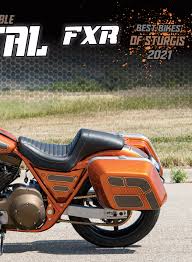 Image result for Mandarin Orange 1993 FXR