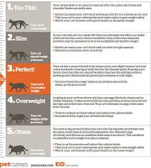 body score chart for cats petcurean