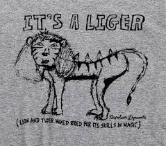 Deb's sweetness helps to restore his faith. Napoleon Dynamite Movie Liger Bred For It S Skills In Magic Adult T Shirt T Shirts Shirts