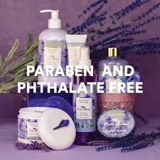 Available in favorite fragrances including glycerin rosewater, french vanilla, unscented vitamin e, and more. Buy Camille Beckman Classic Collection Travel Trios English Lavender Glycerine Hand Therapy 1 35 Oz Silky Body Cream 2 Oz Hand Shower Cleansing Gel 2 Oz Online In Vietnam B07jzk4b32