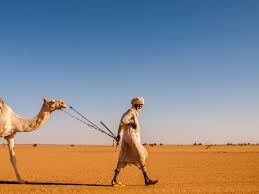 Shop camel art masks created by independent artists from around the globe. Pin On Ù…Ø´Ø§Ù‡Ø¯ Ù…Ù† Ø§Ù„Ø³ÙˆØ¯Ø§Ù†