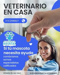 Athenea Hospital Veterinario Cali-Atencion mascotas 24 Horas Cali-Veterinario 24 horas Cali-veterinaria 24 horas