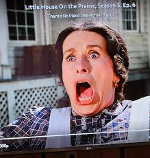 Nels makes his wife do manual labor in Little House