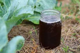 How To Make Compost Tea Hydrokultur Und Garten