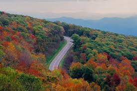 Tennessee (/ˌtɛnəˈsiː/ (listen), locally /ˈtɛnəsi/), officially the state of tennessee, is a state in the southeastern united states. 3 Surprising Facts About The Cherohala Skyway Tennessee