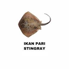 We dug up translations of 16 produce malaysians love. Ikan Pari 500g Jayamartmalaysia Com
