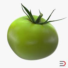 Green Tomato 3d Model Green Tomatoes 3d Model Tomato