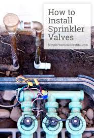 How To Install Irrigation Valves Part 1 Of The Sprinkler System Simple Practical Beautiful