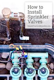 Just pull it out with your hand. How To Install Irrigation Valves Part 1 Of The Sprinkler System Simple Practical Beautiful