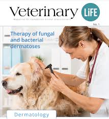 Magazine: Veterinary Life #1 – Vet Expert Hong Kong
